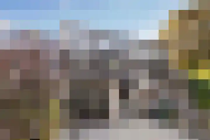 Salomonszegel 137 Apeldoorn thumbnail 29
