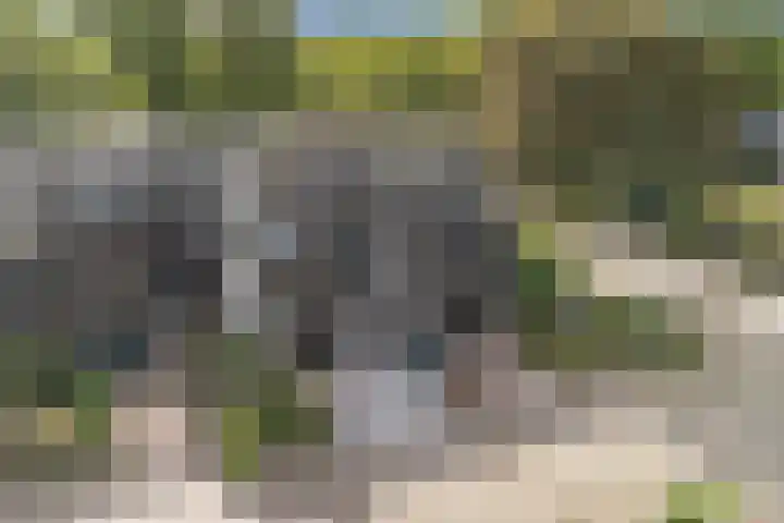 Salomonszegel 137 Apeldoorn thumbnail 31