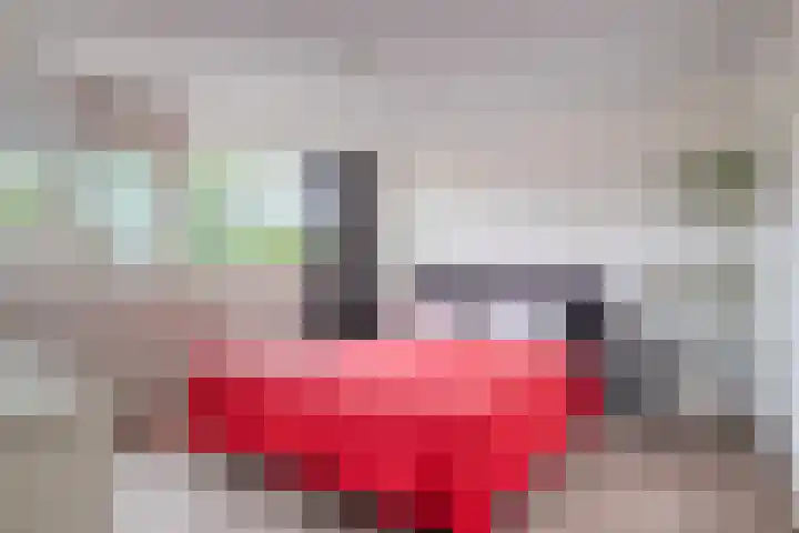 Salomonszegel 21 Apeldoorn thumbnail 11