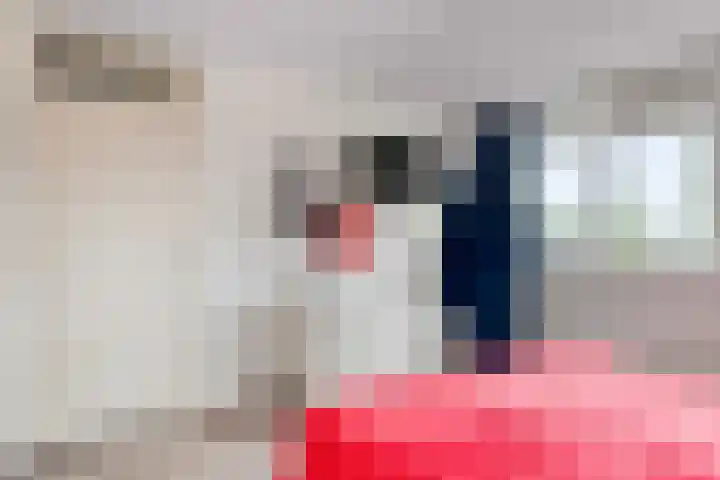 Salomonszegel 21 Apeldoorn thumbnail 12