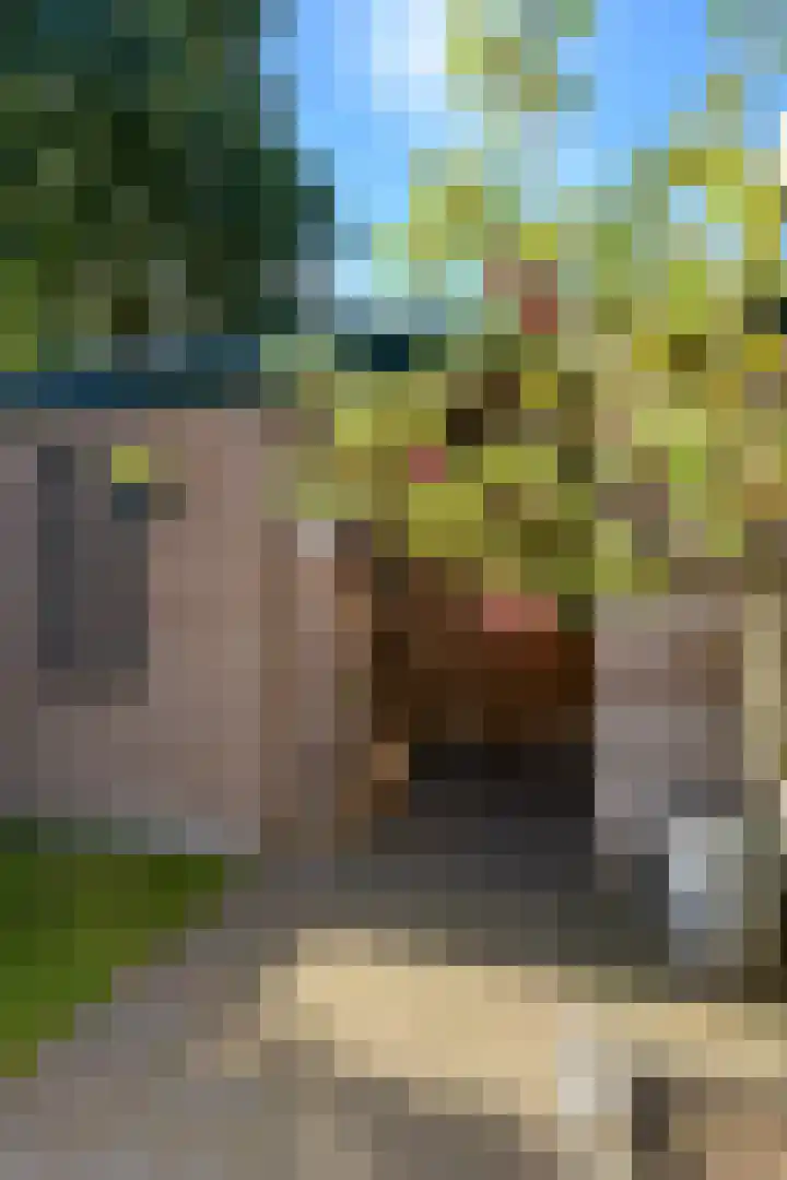 Salomonszegel 22 Apeldoorn thumbnail 19