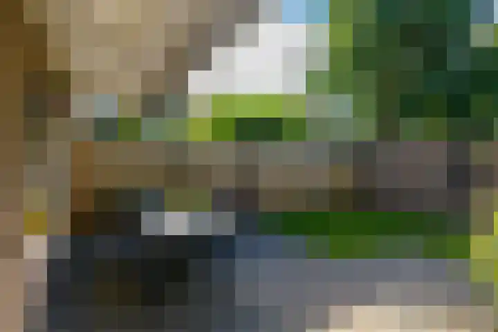 Salomonszegel 22 Apeldoorn thumbnail 21