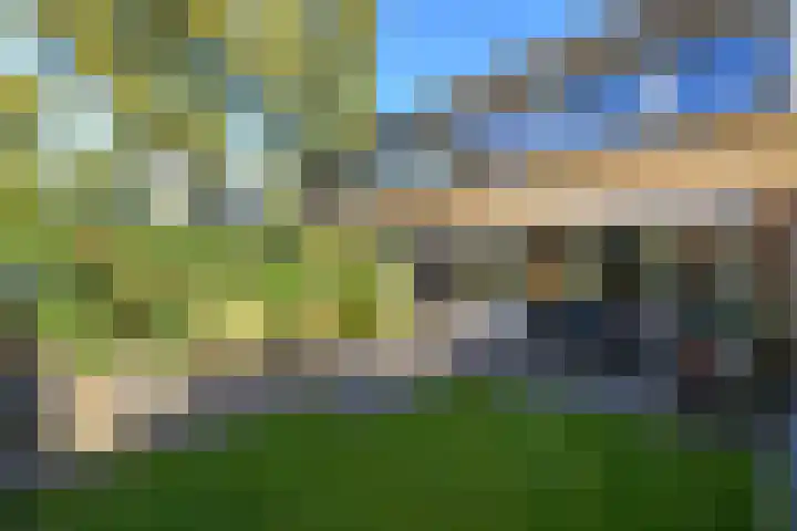 Salomonszegel 22 Apeldoorn thumbnail 4