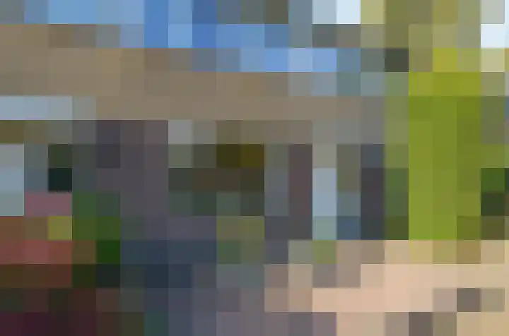Salomonszegel 22 Apeldoorn thumbnail 5