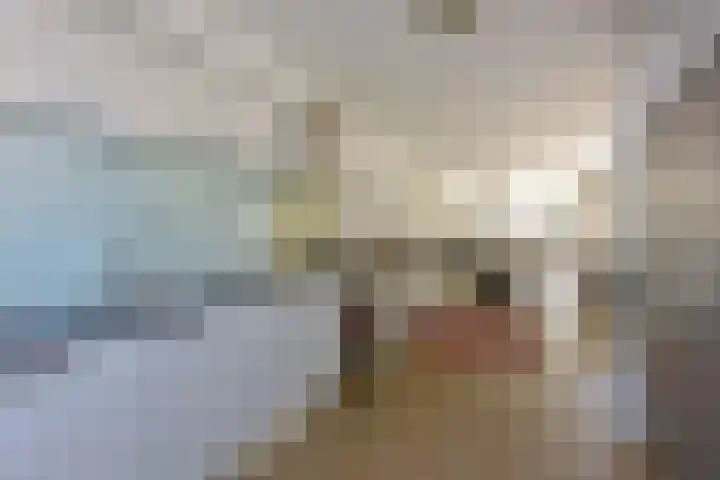 Salomonszegel 3 Breukelen thumbnail 10
