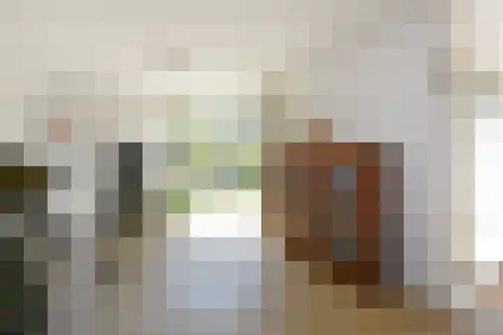 Salomonszegel 3 Breukelen thumbnail 17