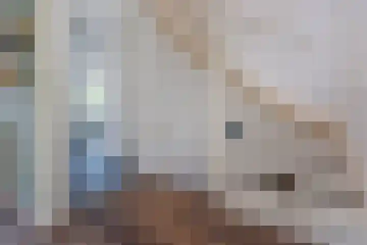 Salomonszegel 3 Breukelen thumbnail 23