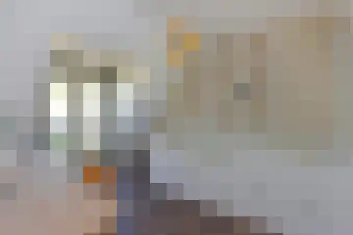 Salomonszegel 3 Breukelen thumbnail 27