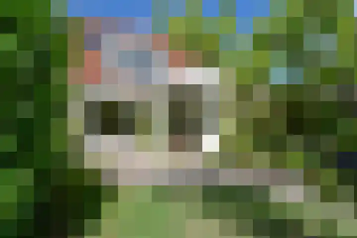 Salomonszegel 3 Breukelen thumbnail 34