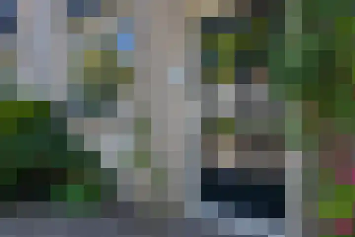 Salomonszegel 3 Breukelen thumbnail 4