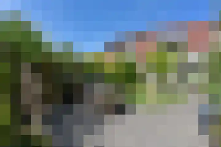 Salomonszegel 3 Breukelen thumbnail 43