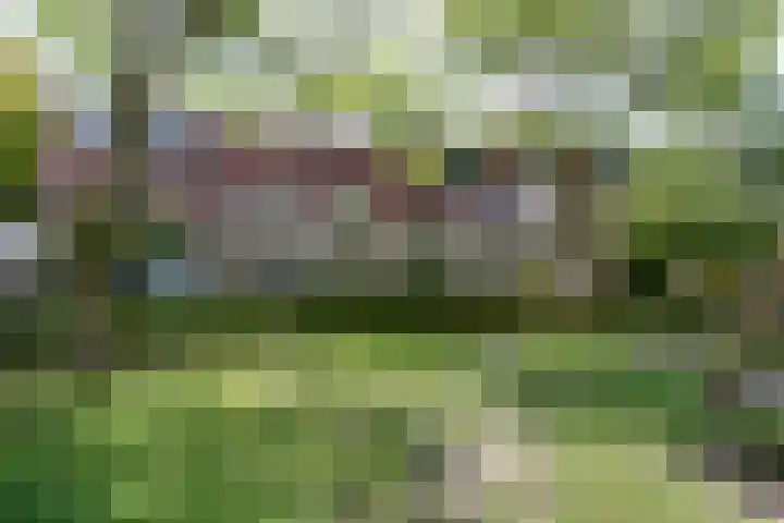 Salomonszegel 3 Breukelen thumbnail 45