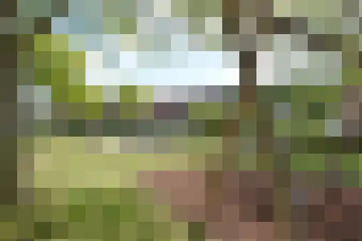 Salomonszegel 3 Breukelen thumbnail 46