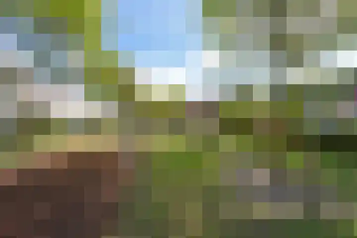 Salomonszegel 3 Breukelen thumbnail 47