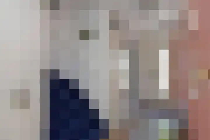 Salomonszegel 3 Breukelen thumbnail 5