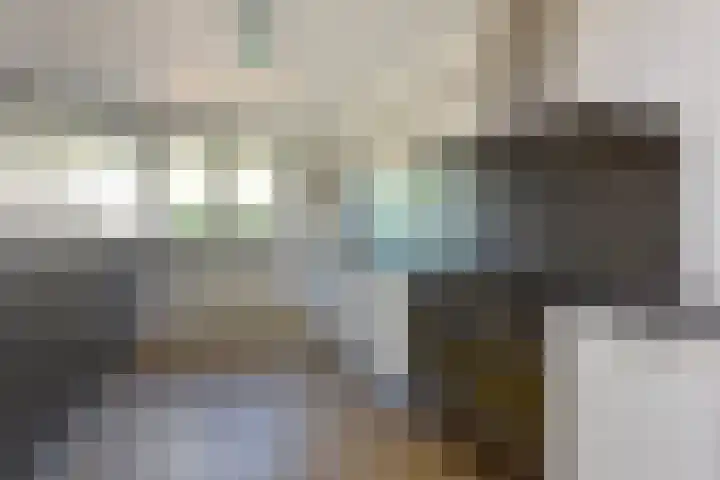 Salomonszegel 3 Breukelen thumbnail 9