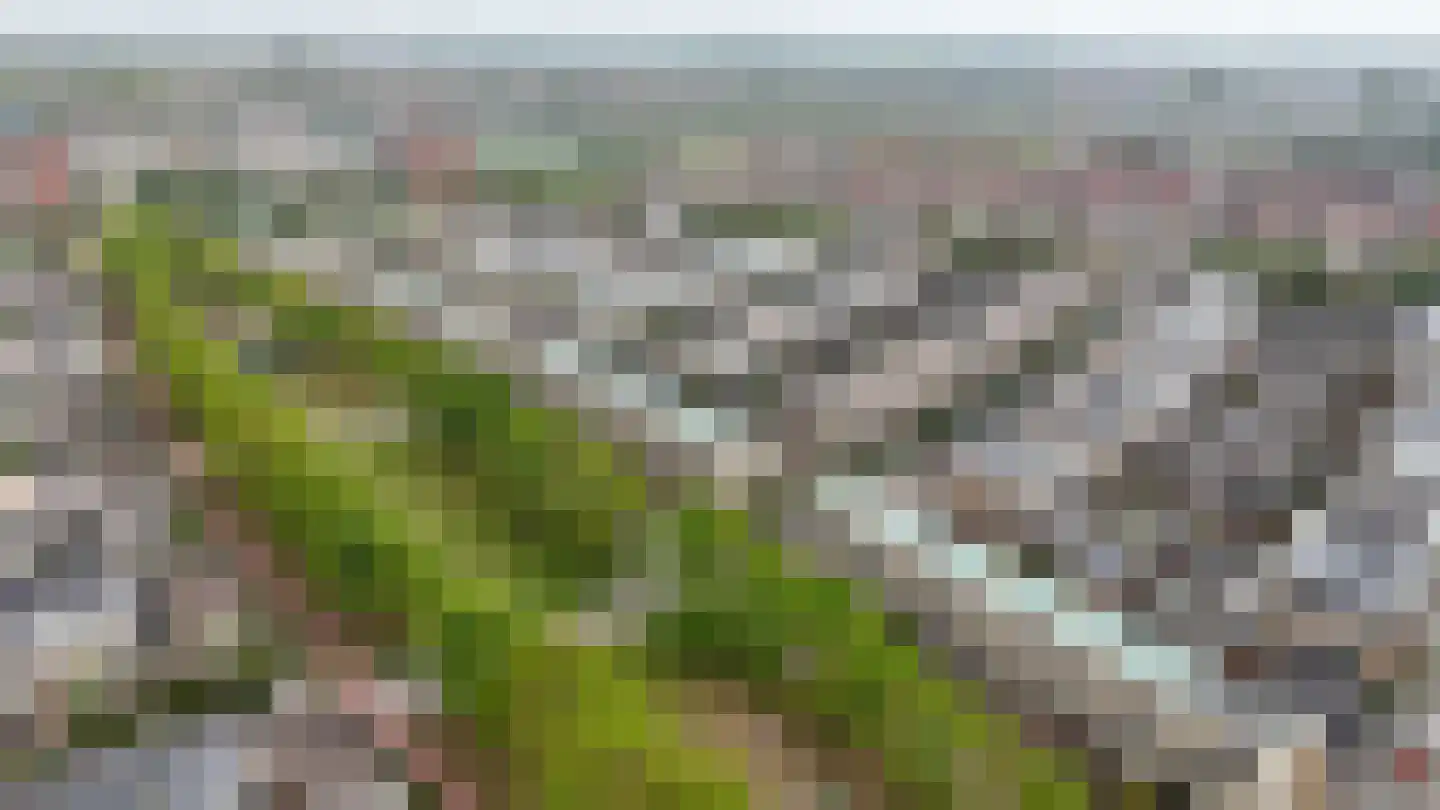 Salomonszegel 35 Katwijk thumbnail 33