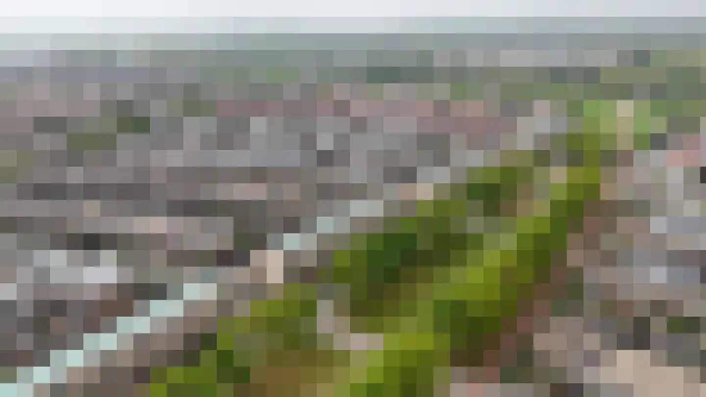 Salomonszegel 35 Katwijk thumbnail 35