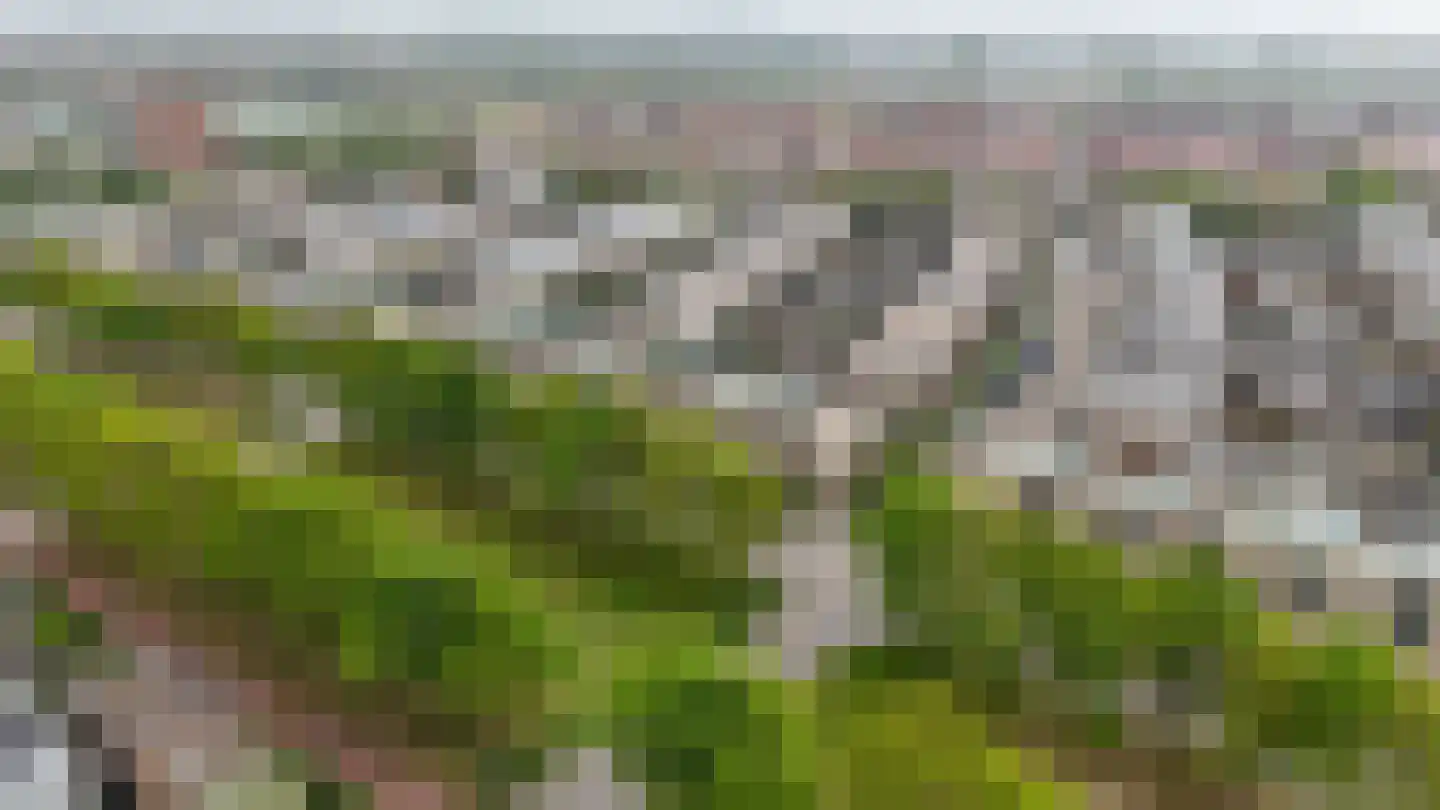 Salomonszegel 35 Katwijk thumbnail 5