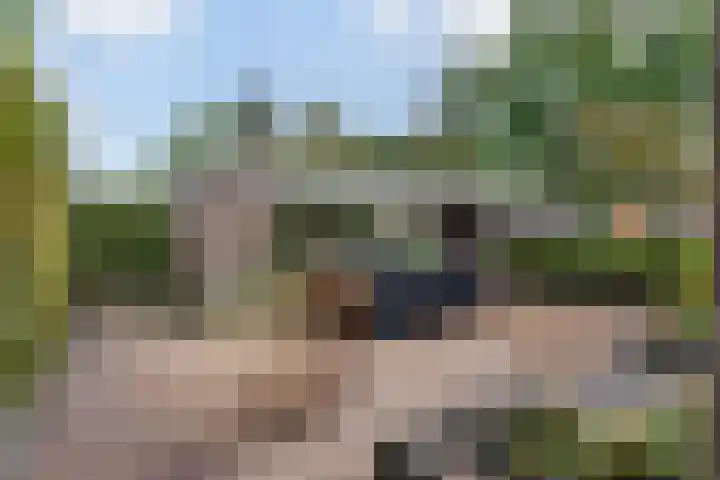 Salomonszegel 49 Apeldoorn thumbnail 25