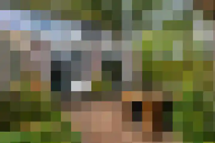 Salomonszegel 49 Apeldoorn thumbnail 27