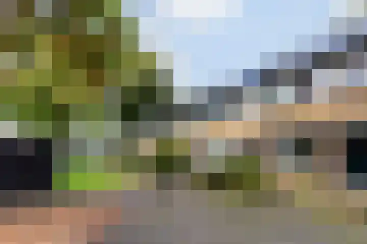 Salomonszegel 49 Apeldoorn thumbnail 31