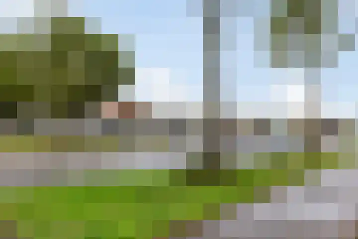 Salomonszegel 49 Apeldoorn thumbnail 32