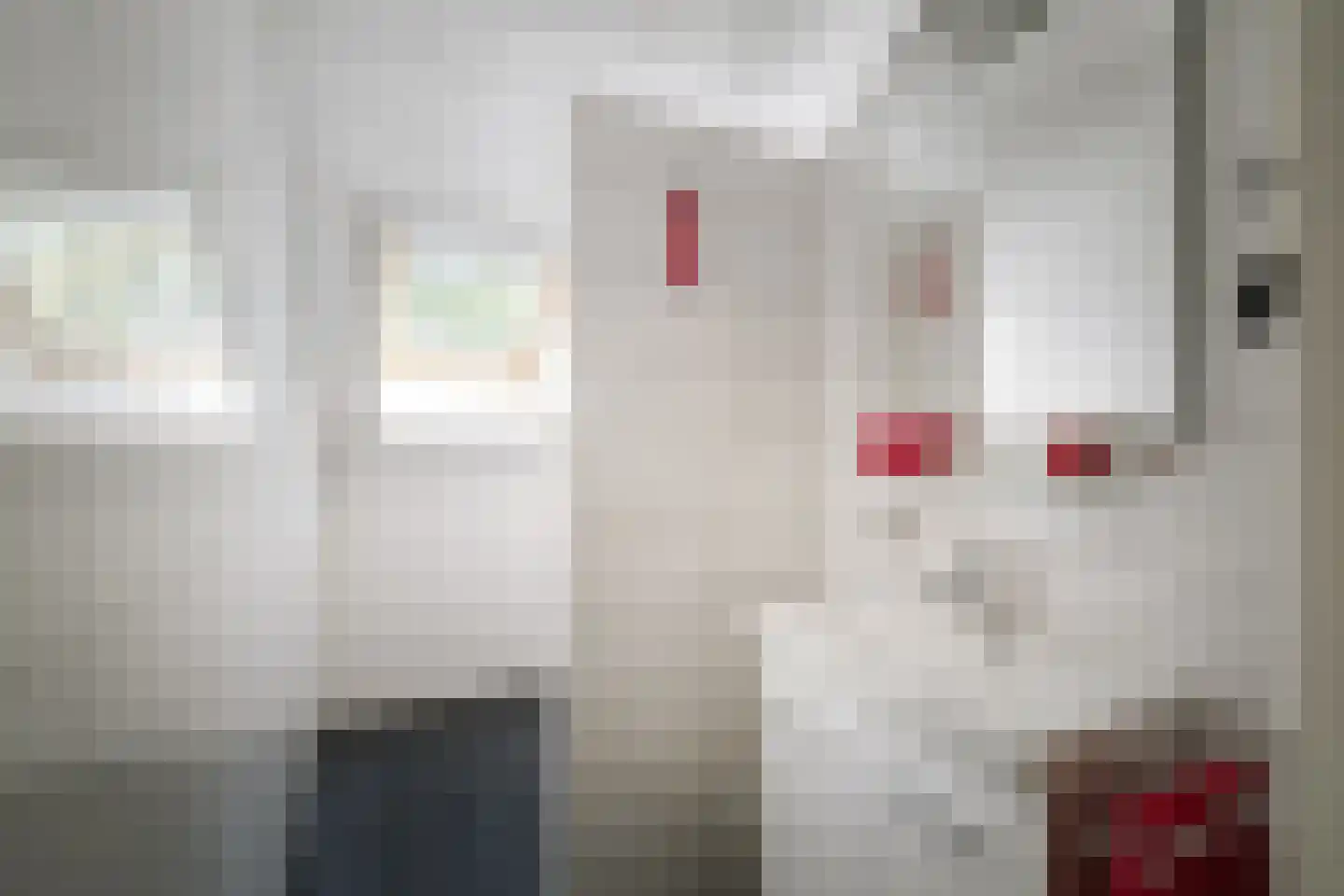Salomonszegel 6 Twello thumbnail 31