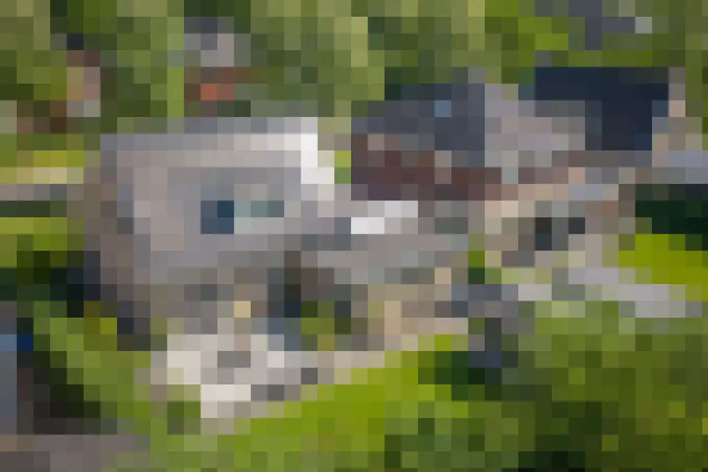 Salomonszegel 6 Twello thumbnail 33