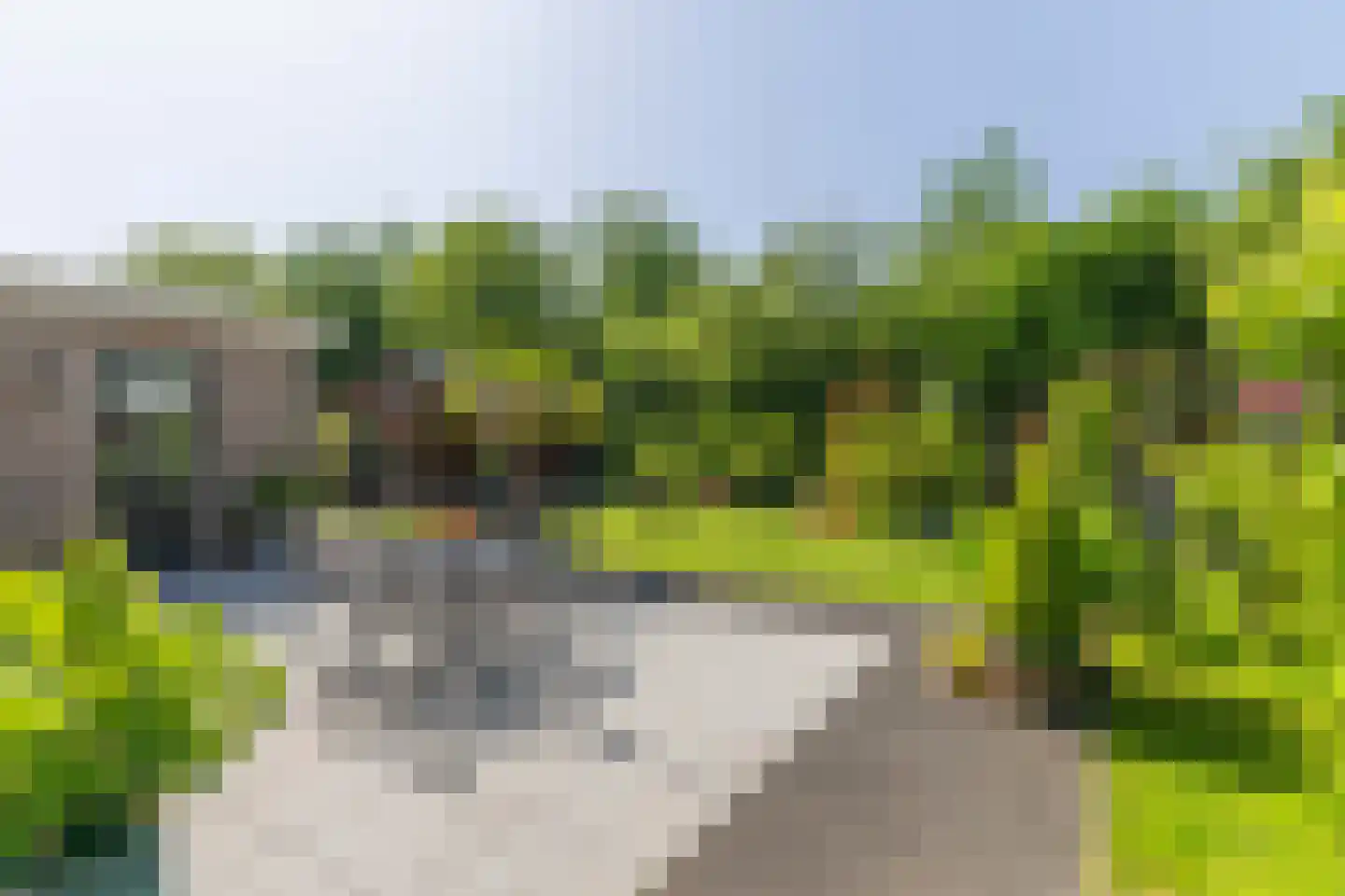 Salomonszegel 6 Twello thumbnail 37