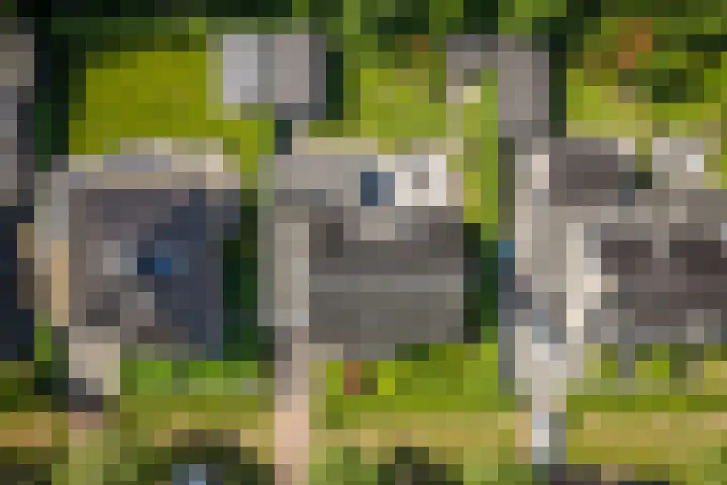 Salomonszegel 6 Twello thumbnail 38