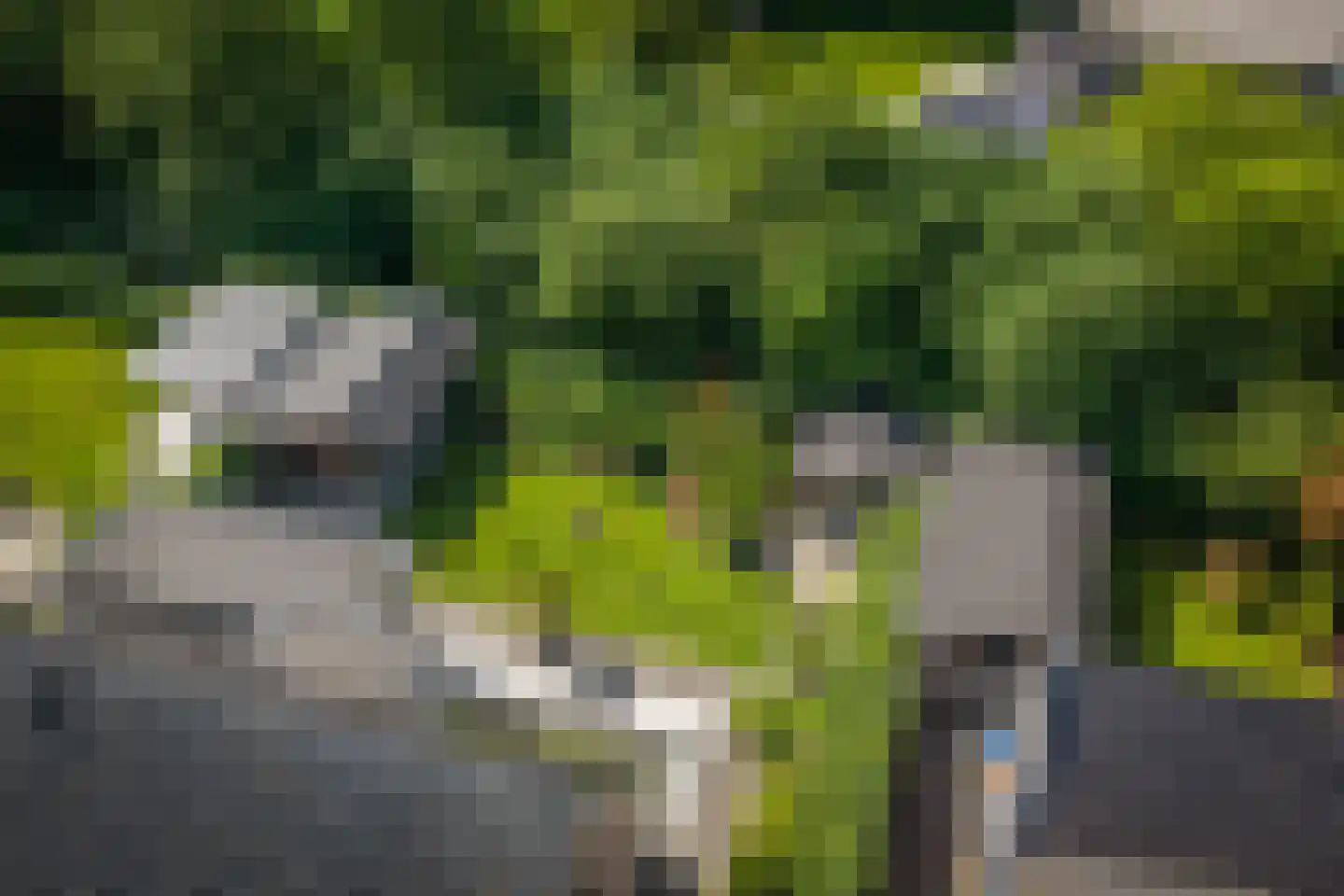 Salomonszegel 6 Twello thumbnail 39