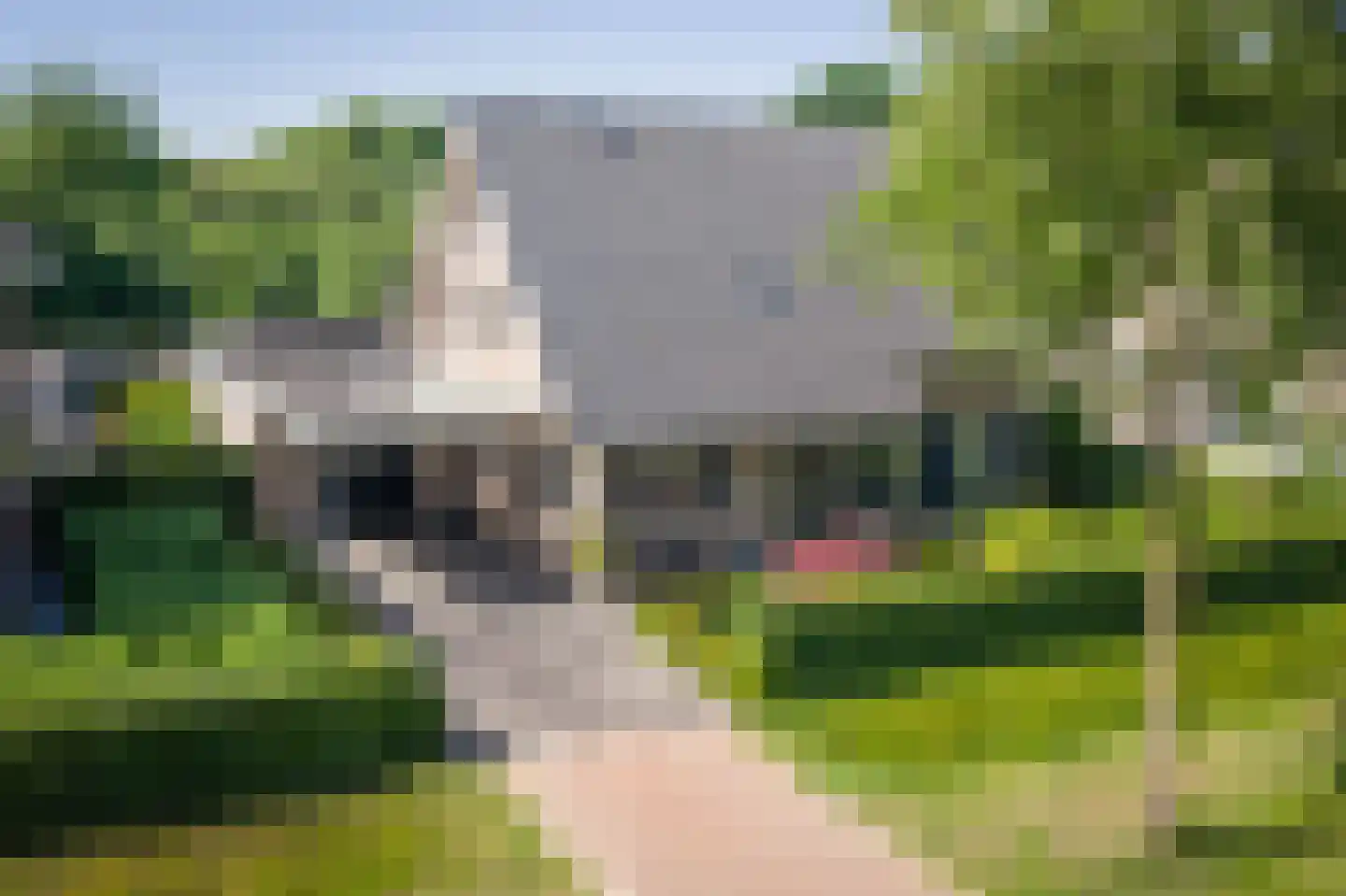 Salomonszegel 6 Twello thumbnail 4