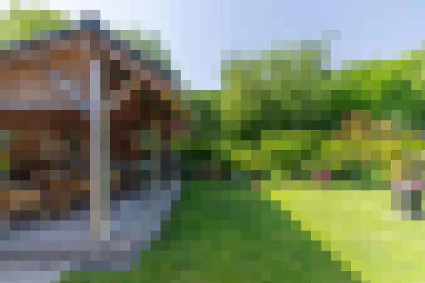 Salomonszegel 6 Twello thumbnail 42