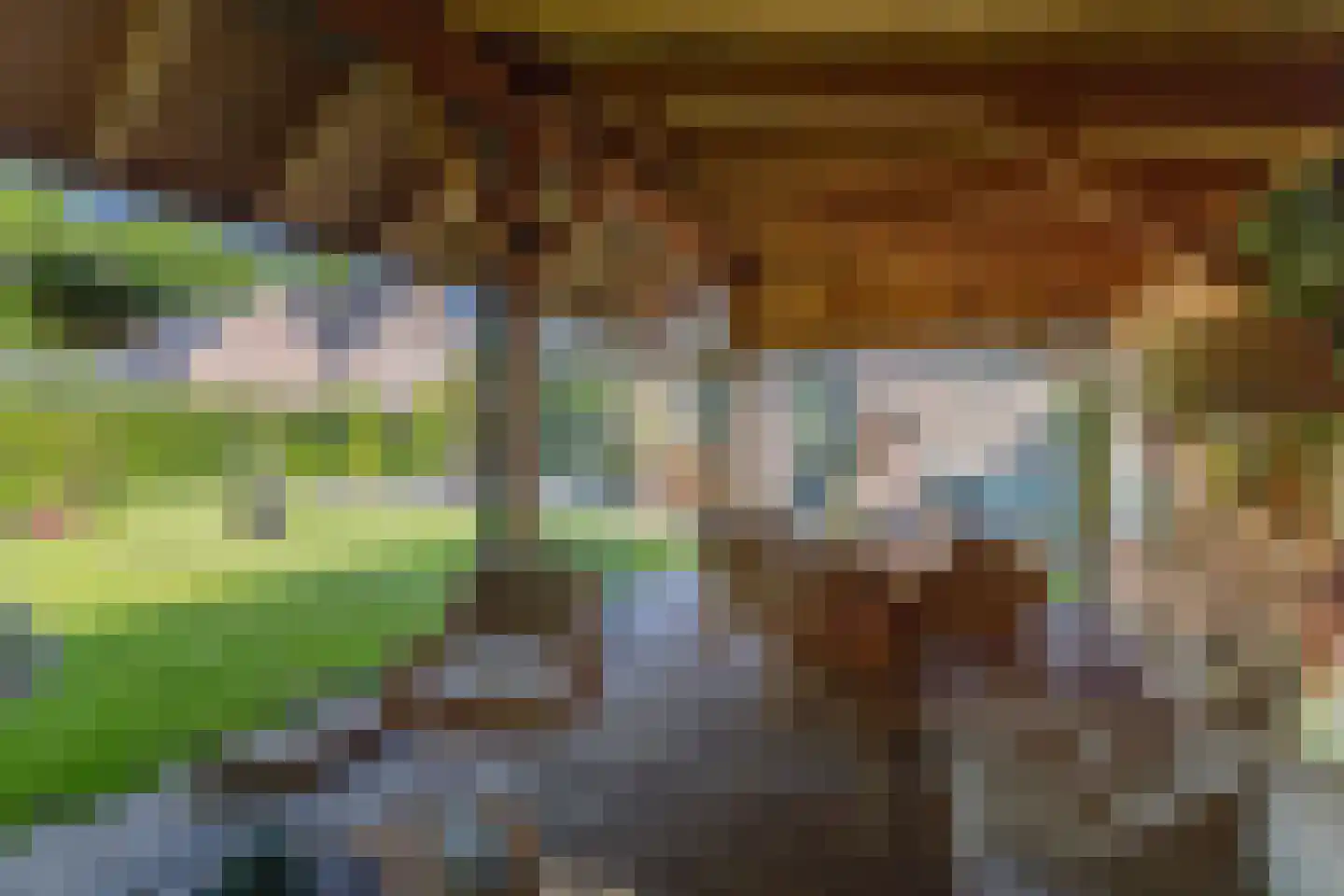 Salomonszegel 6 Twello thumbnail 44