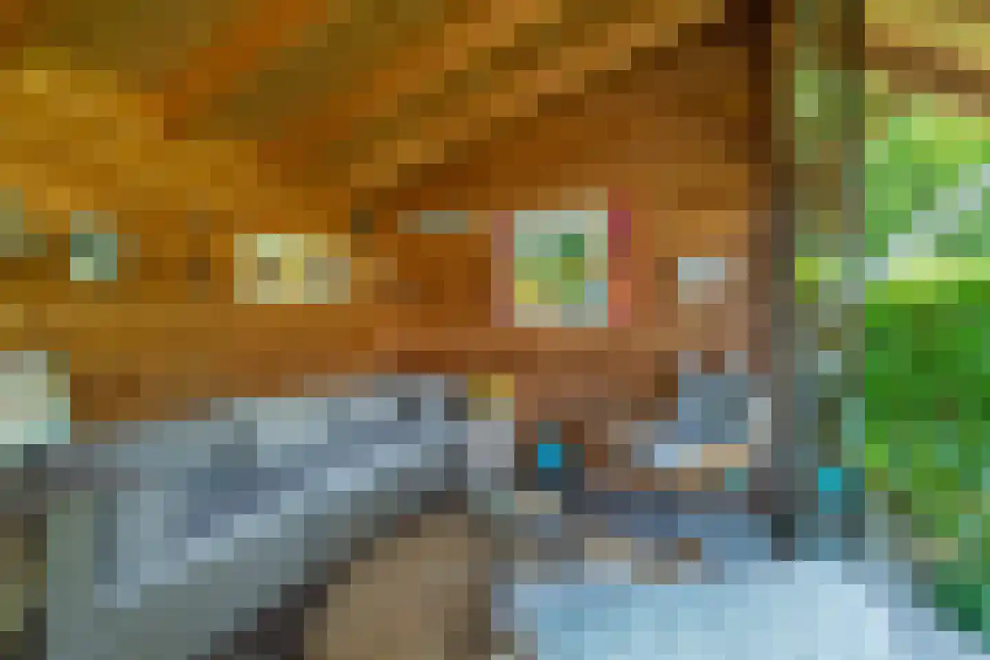 Salomonszegel 6 Twello thumbnail 46