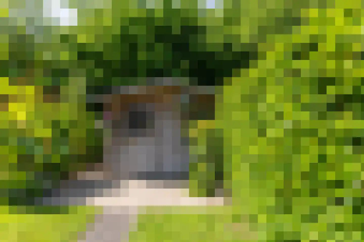 Salomonszegel 6 Twello thumbnail 48