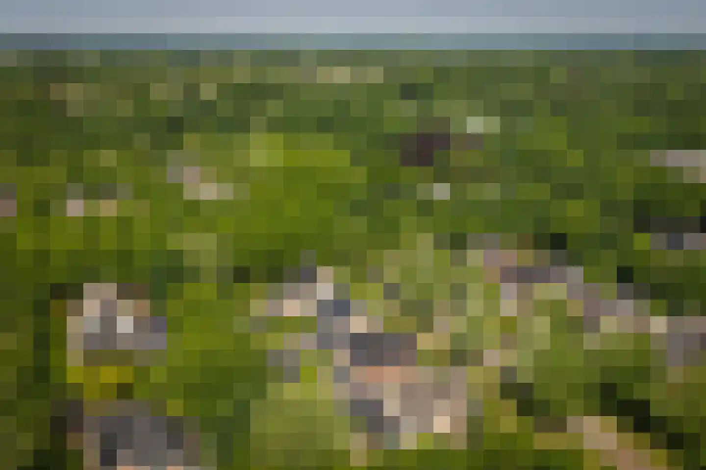 Salomonszegel 6 Twello thumbnail 54