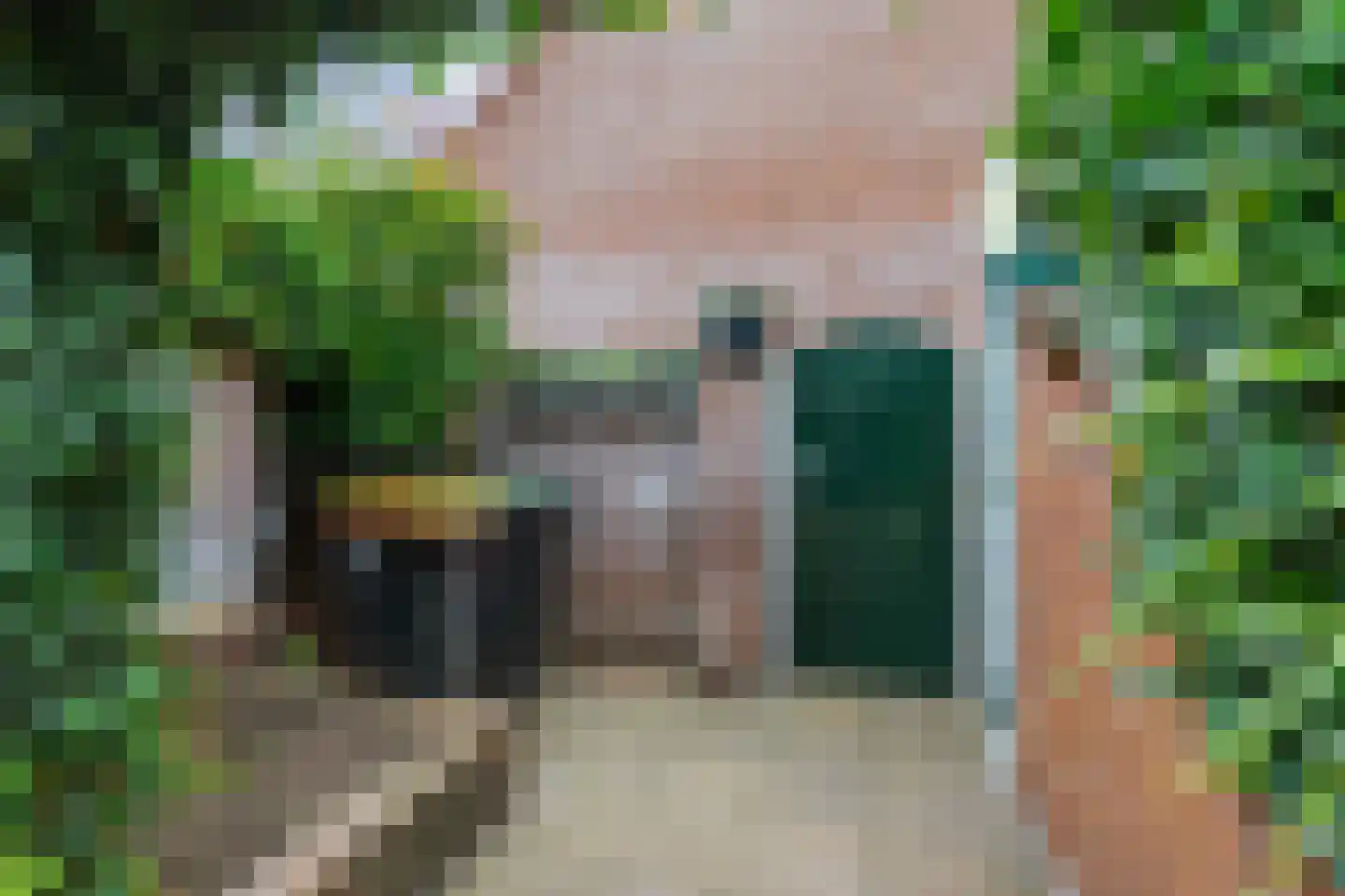 Salomonszegel 86 Deventer thumbnail 12