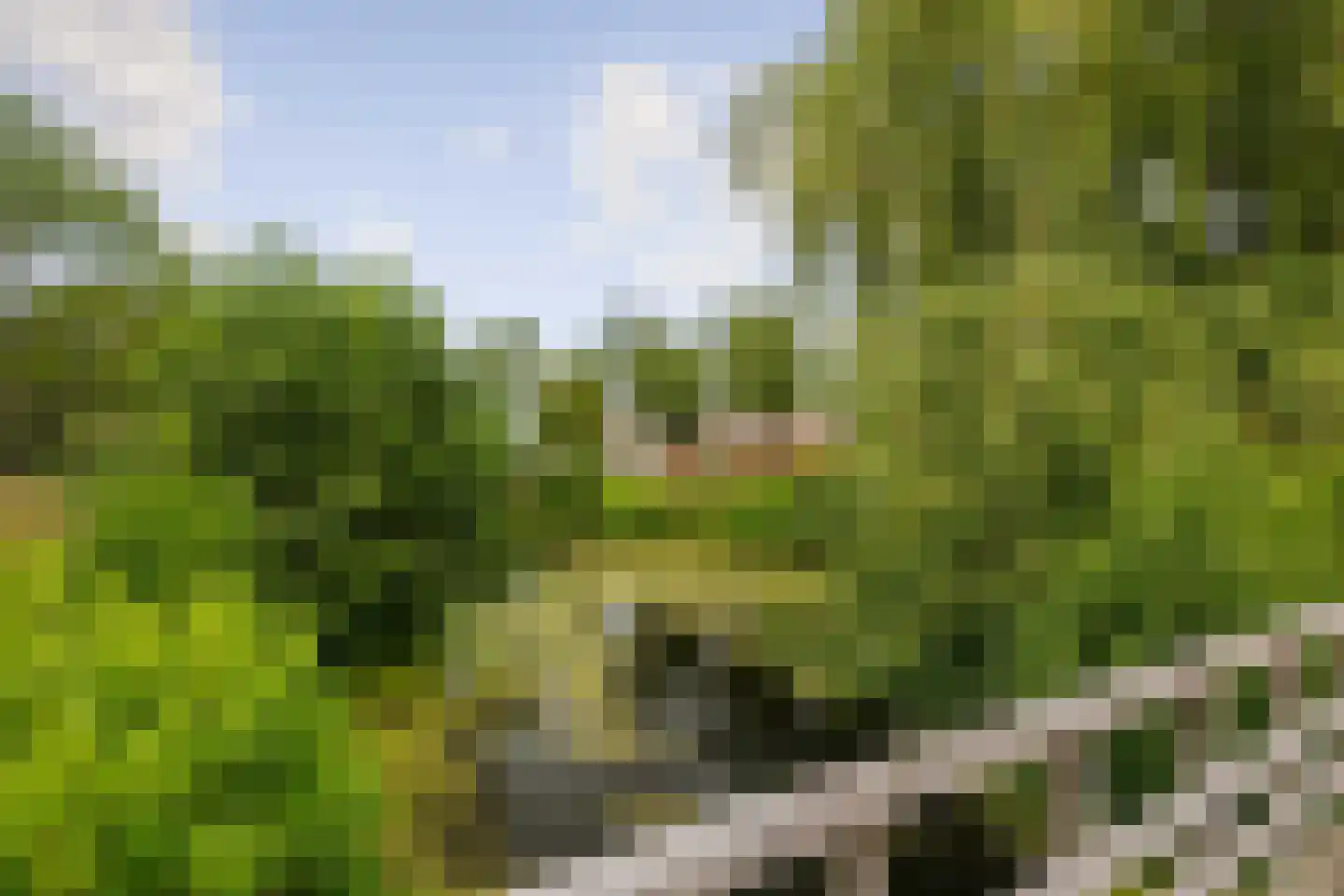 Salomonszegel 86 Deventer thumbnail 30