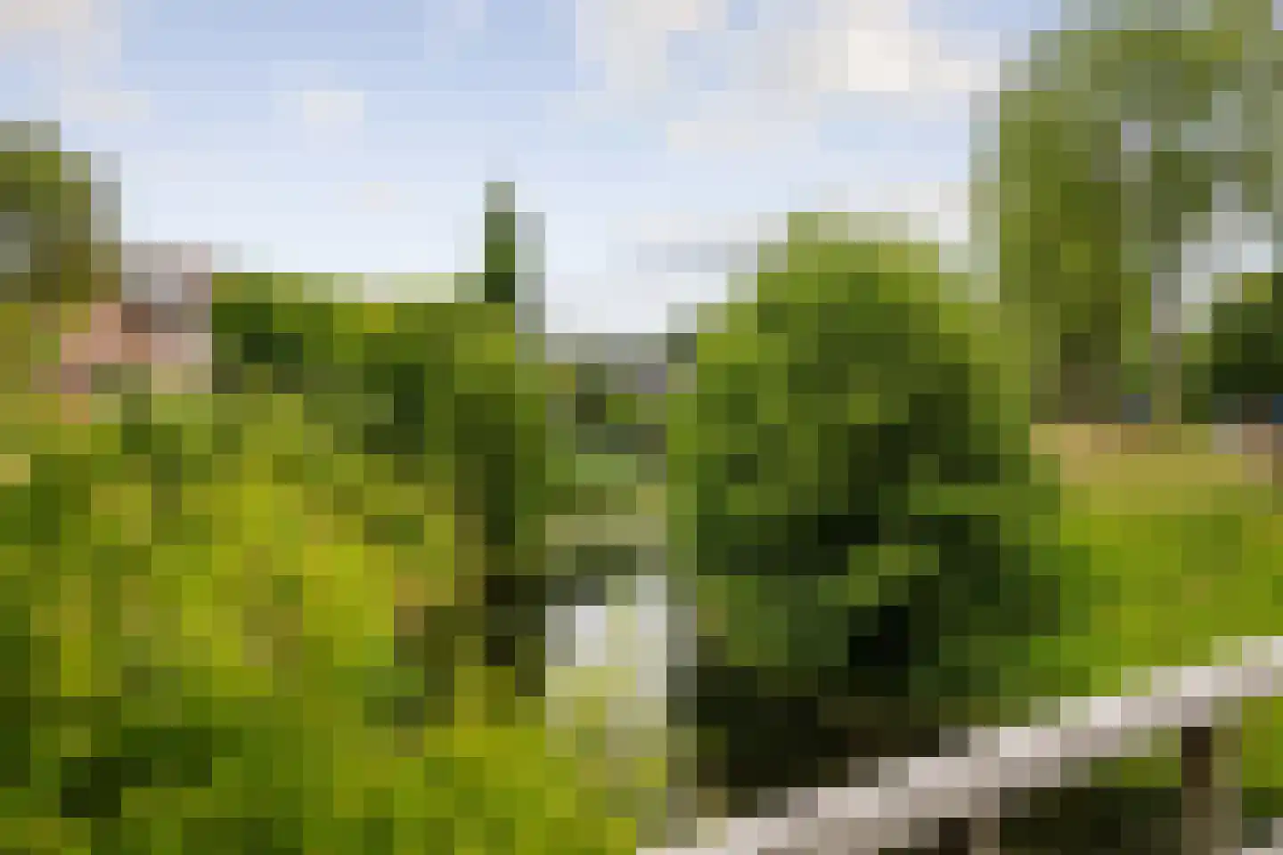 Salomonszegel 86 Deventer thumbnail 31