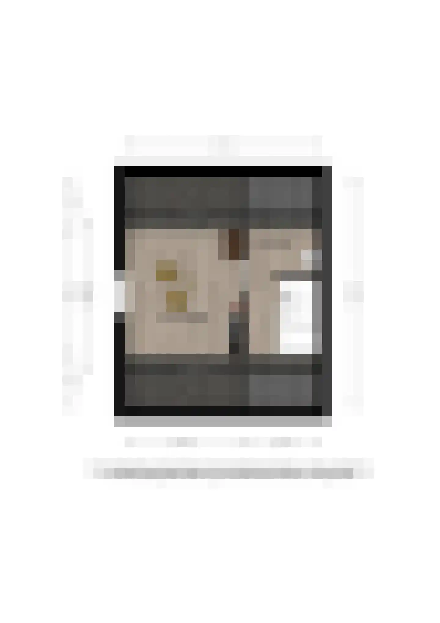 Salomonszegel 86 Deventer thumbnail 38