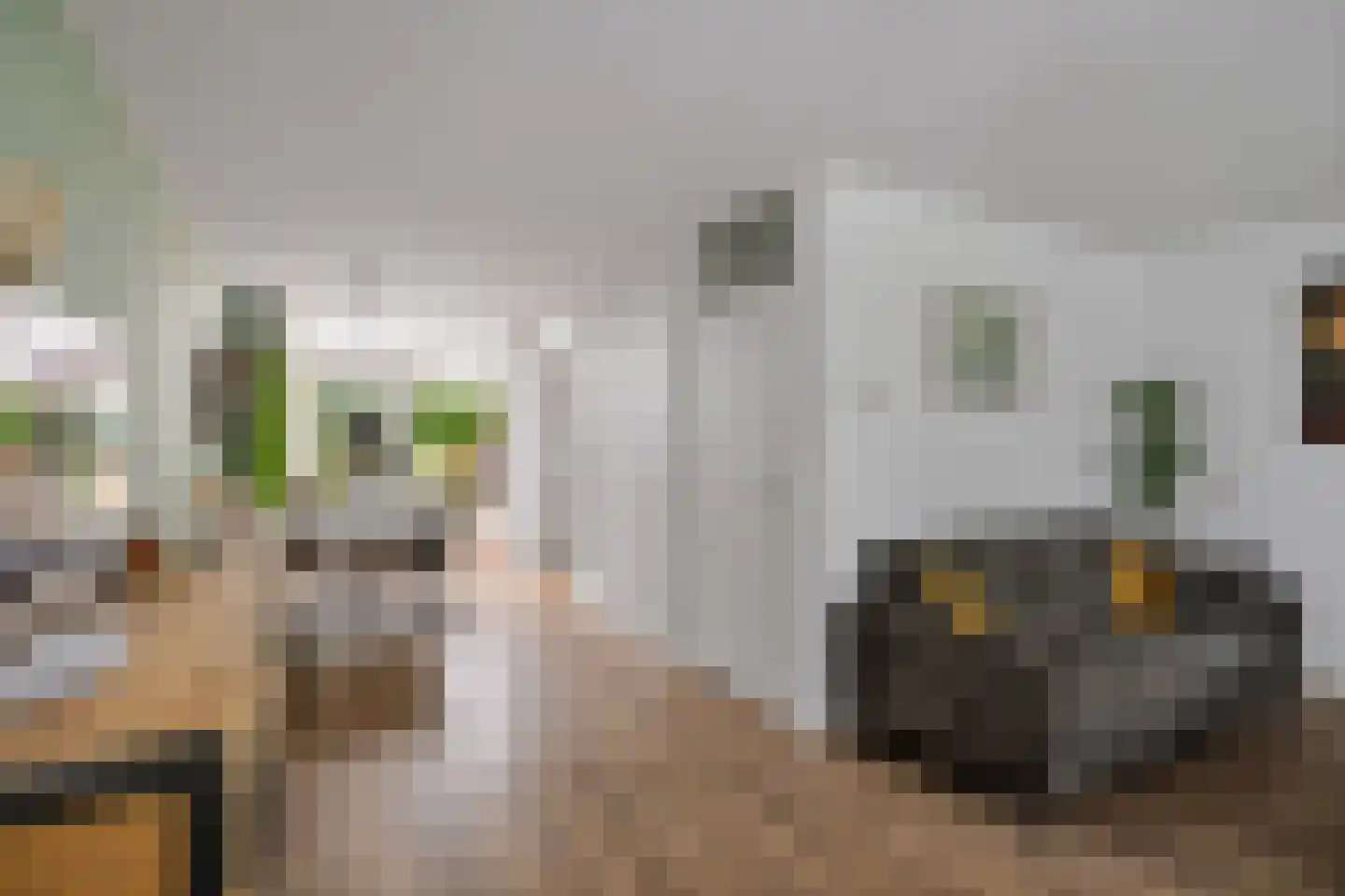Salomonszegel 86 Deventer thumbnail 7