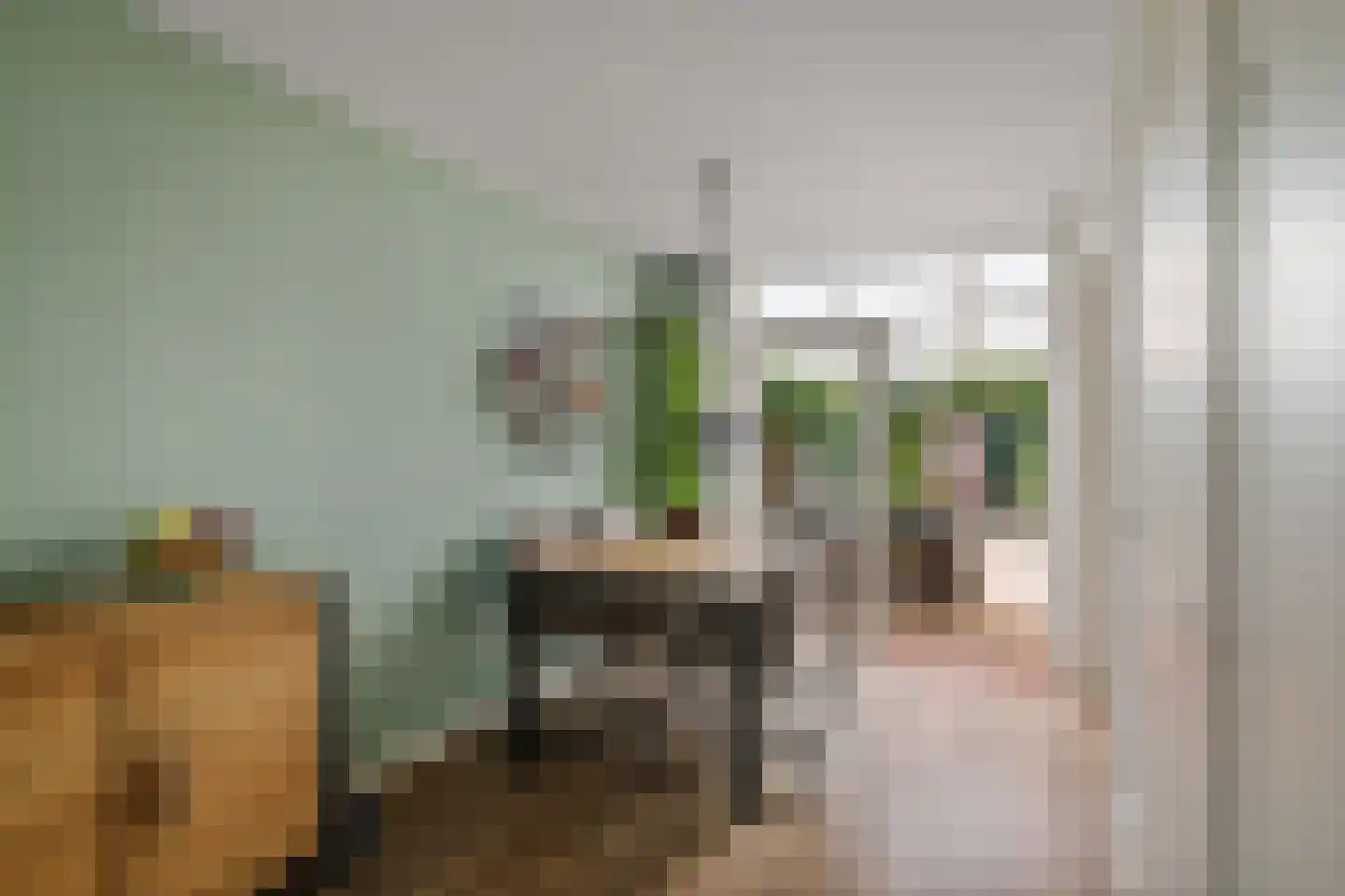 Salomonszegel 86 Deventer thumbnail 8