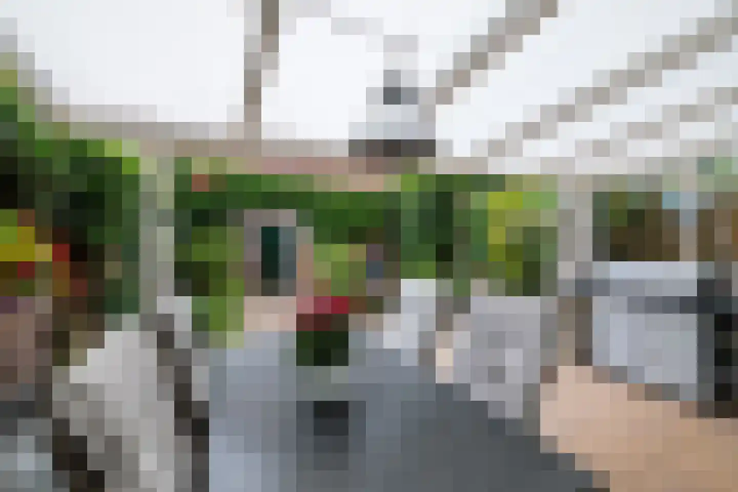 Salomonszegel 86 Deventer thumbnail 9