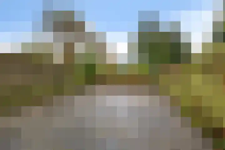 Salomonszegel 98 Leeuwarden thumbnail 37
