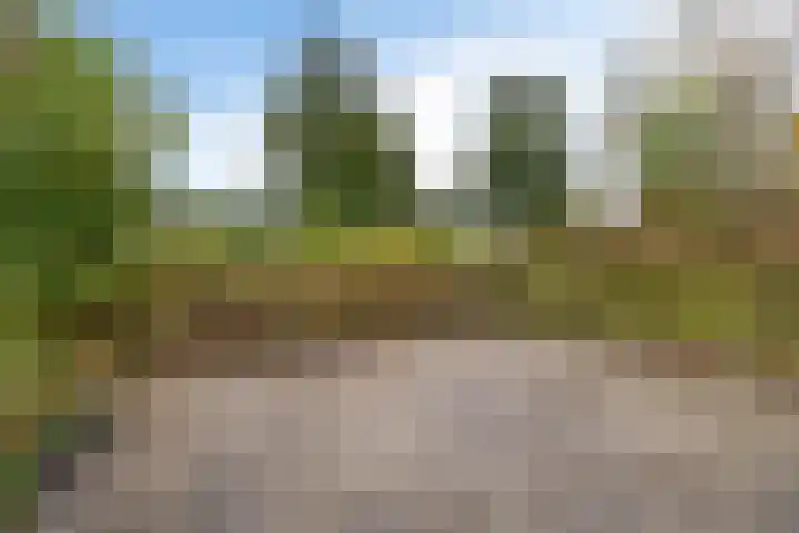 Salomonszegel 98 Leeuwarden thumbnail 38
