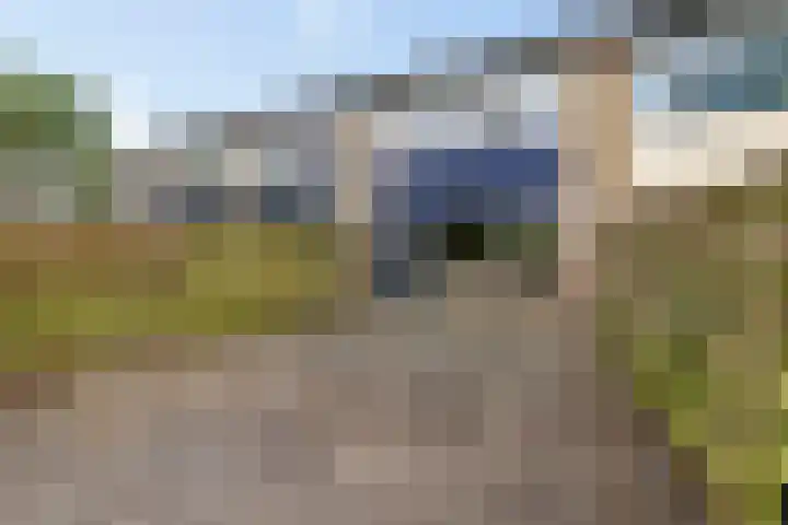 Salomonszegel 98 Leeuwarden thumbnail 39