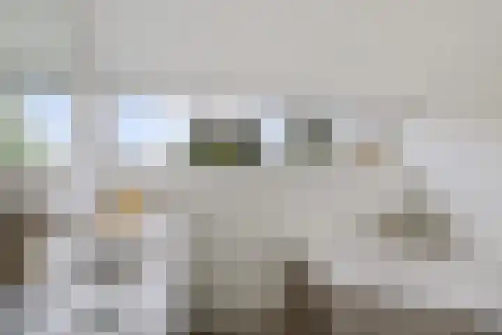 Salomonszegel 98 Leeuwarden thumbnail 4