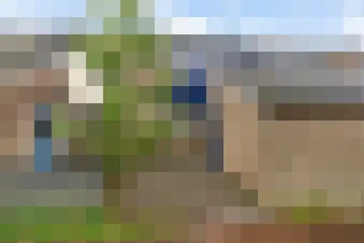 Salomonszegel 98 Leeuwarden thumbnail 5